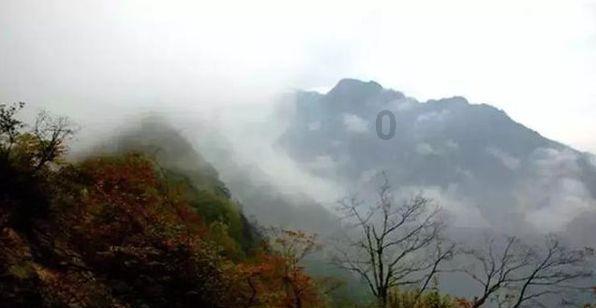 拯救可爱小浣熊