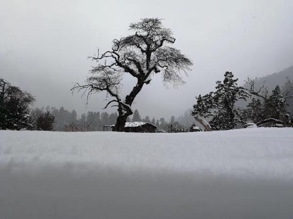 逛街、嬉雪、感悟历史 在沈台胞喜迎新春共话团圆